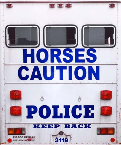 14-horses-caution